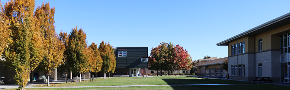 photo of campus buildings and trees in autumn